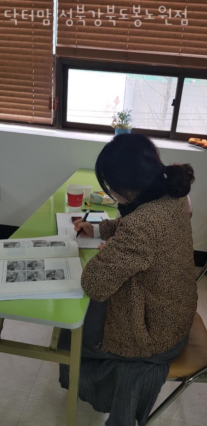 닥터맘(성북/강북/도봉/노원) 이미지