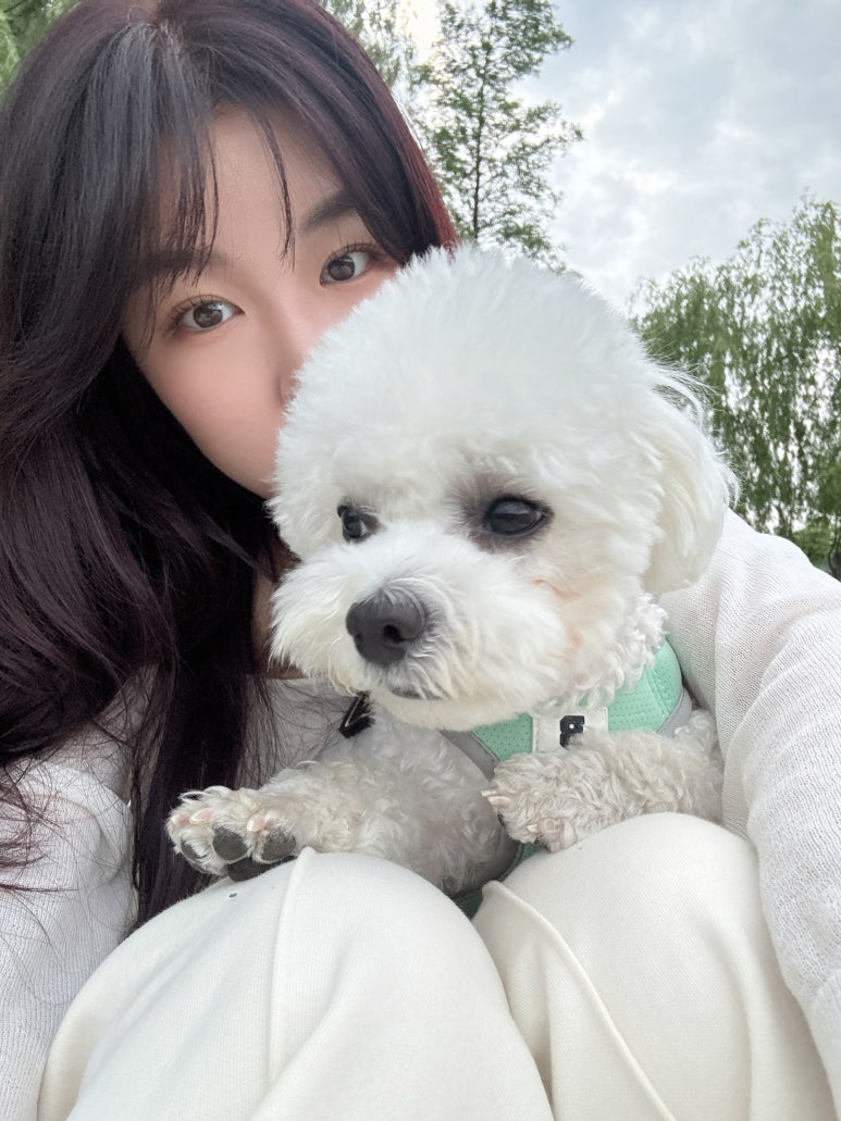 띵동 이미지
