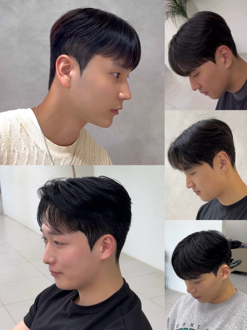신정수석 이미지