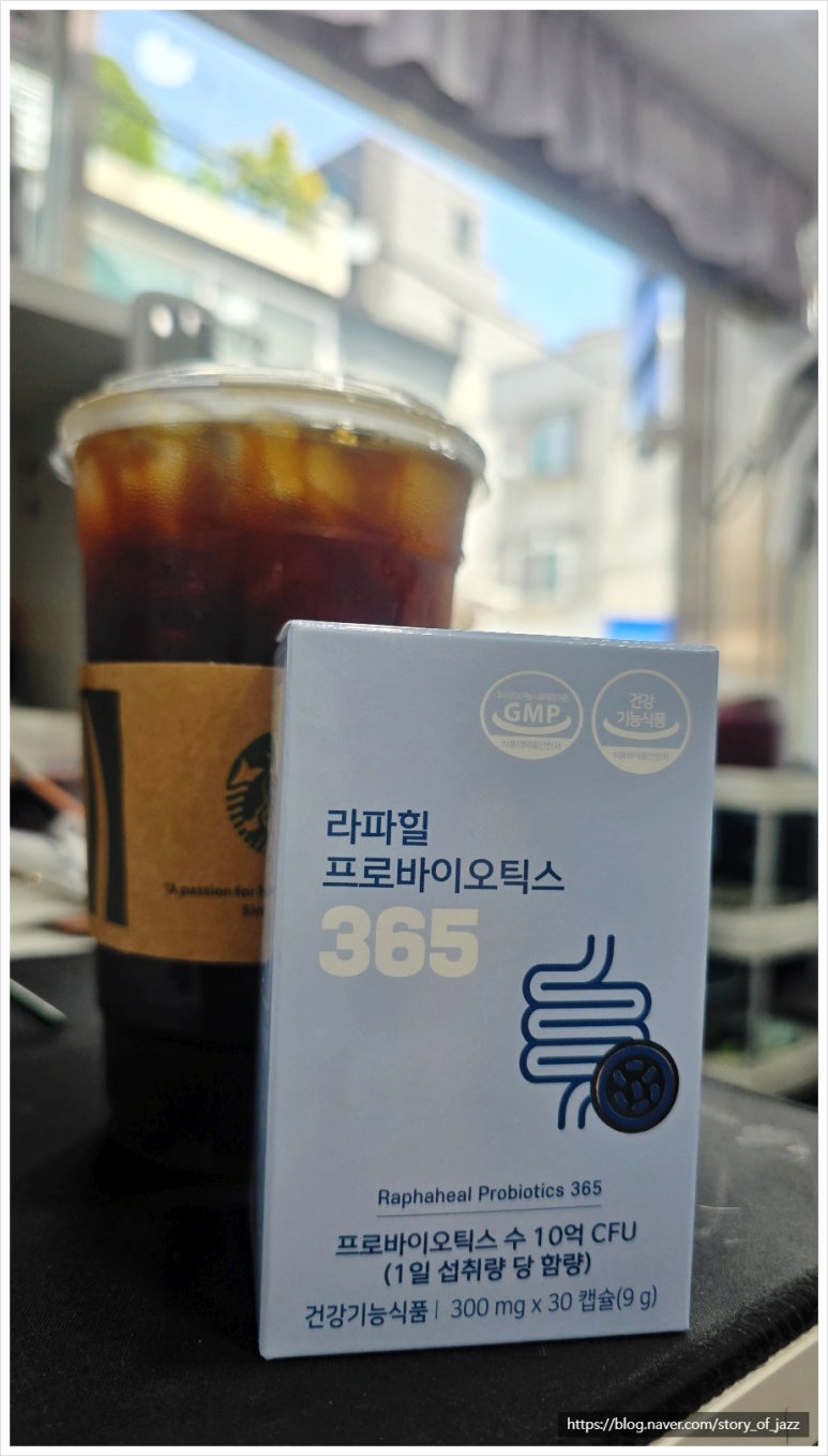 라파힐 이미지