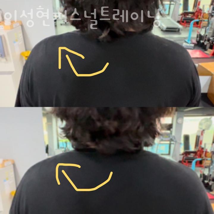 이성현퍼스널트레이닝 이미지