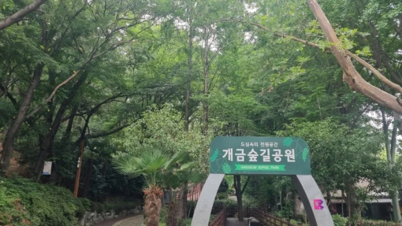 숲길 이미지