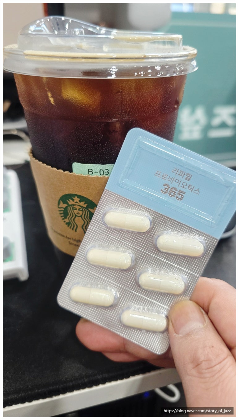 라파힐 이미지