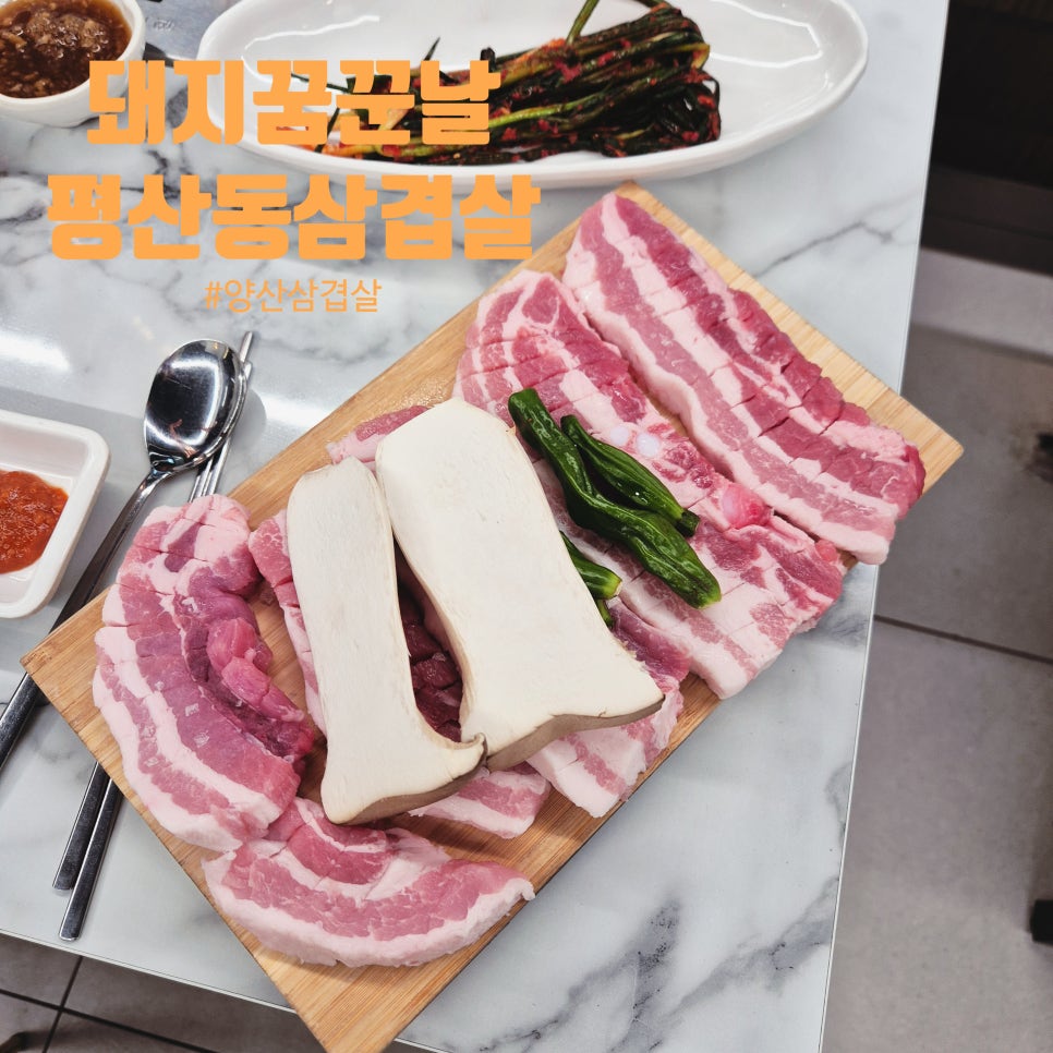 돼지꿈꾼날 이미지