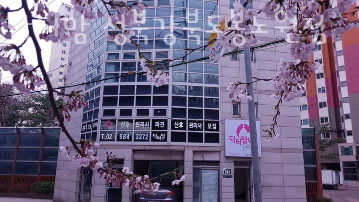 닥터맘(성북/강북/도봉/노원) 이미지