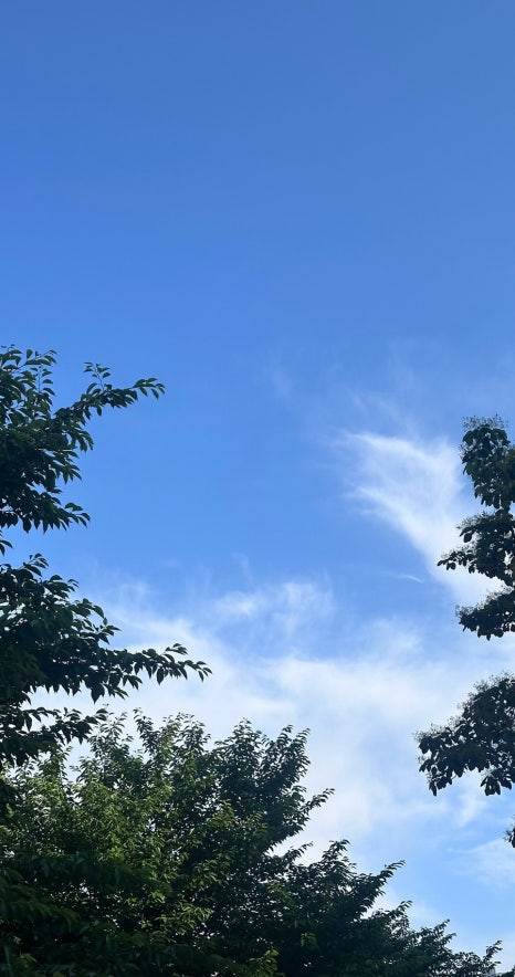 데굴데굴 이미지