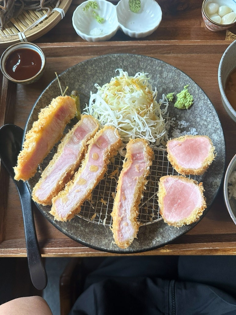 카츠닉 이미지