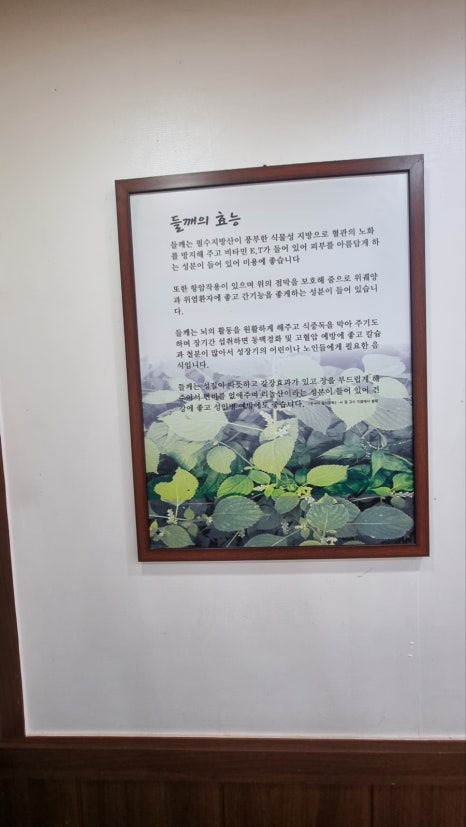 청정밀들깨수제비 이미지