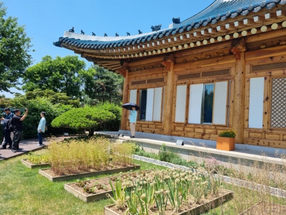 문 이미지