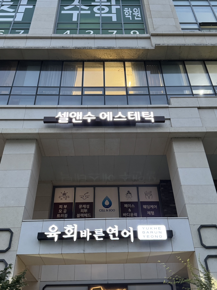 셀앤수 이미지