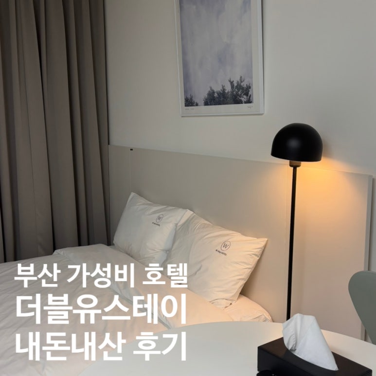스테이더블유 이미지
