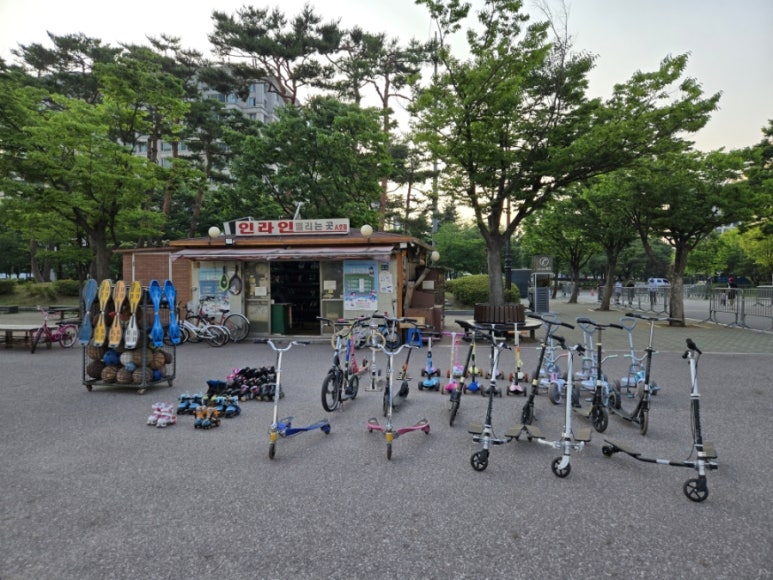여의도공원인라인대여소 이미지