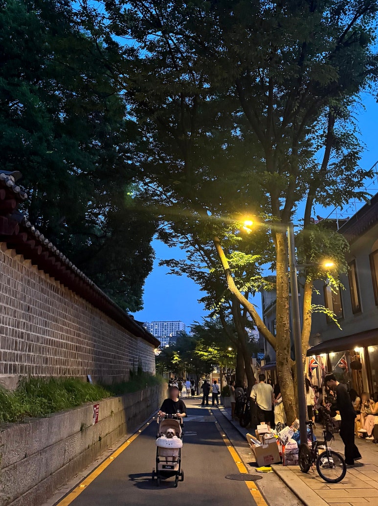 재동맥주 이미지