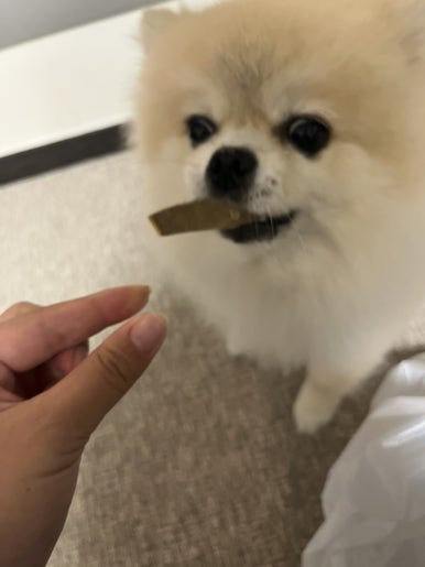 순대정 이미지