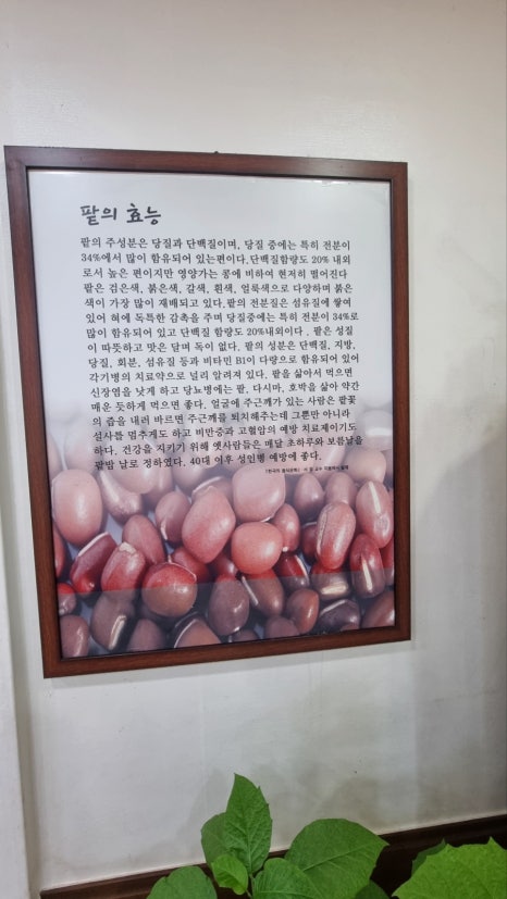 청정밀들깨수제비 이미지