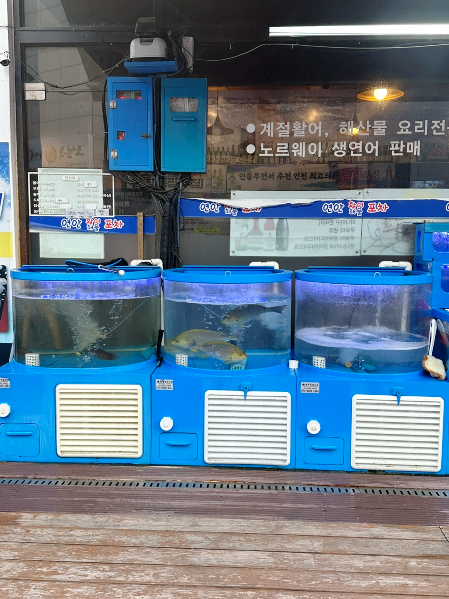 해물포 이미지