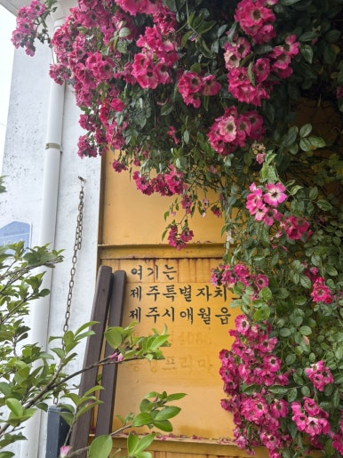 달림정육식당 사진 6
