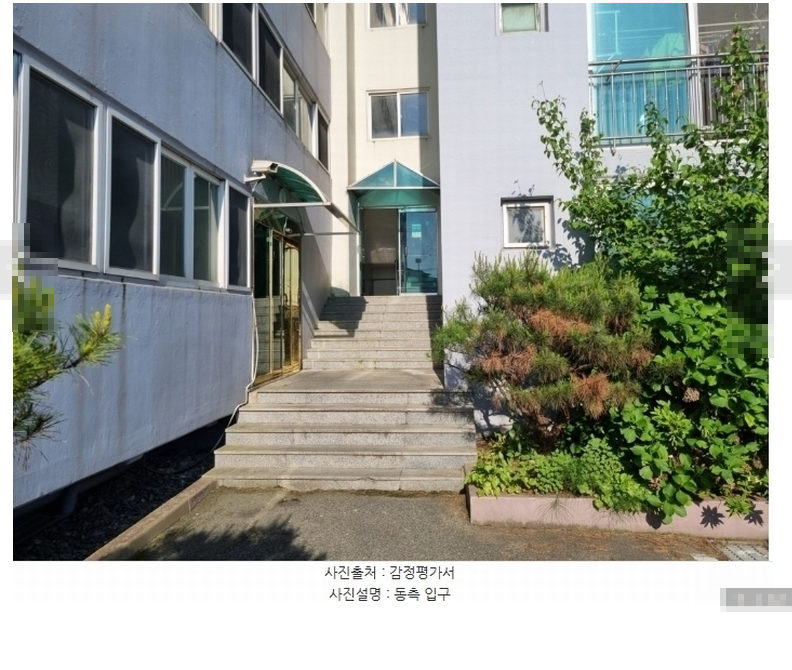 로얄수산 이미지