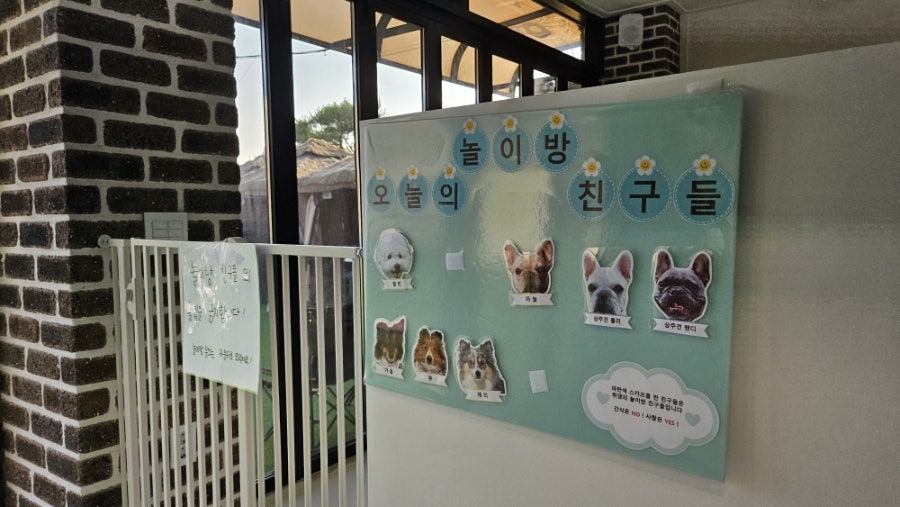 용인 뛰뛰댕댕 애견카페, 강아지 신나게 뛰어놀아요 — 사진 8