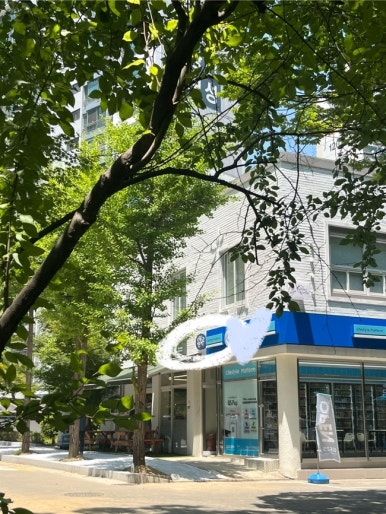 버나드우드웍스 후기 사진