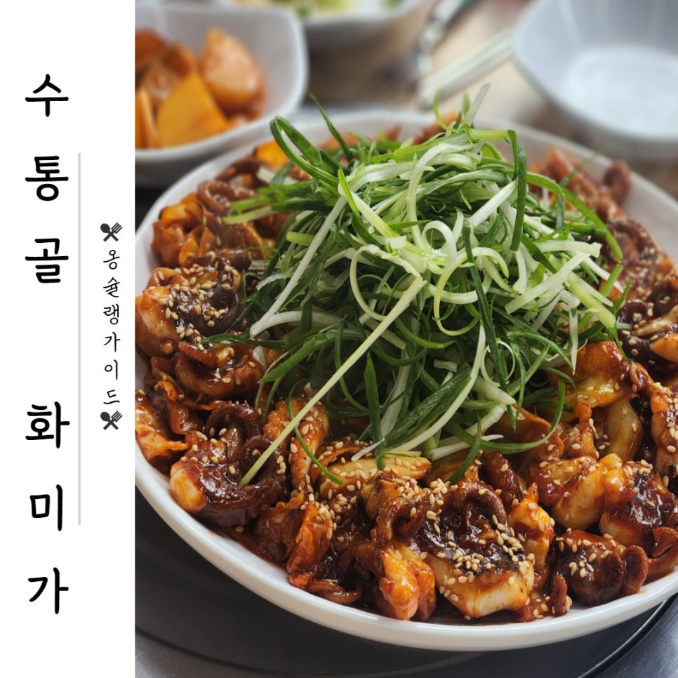 화미가 이미지
