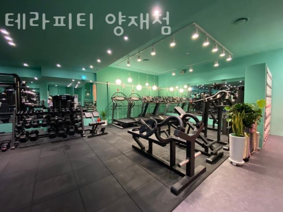 테라피티 이미지