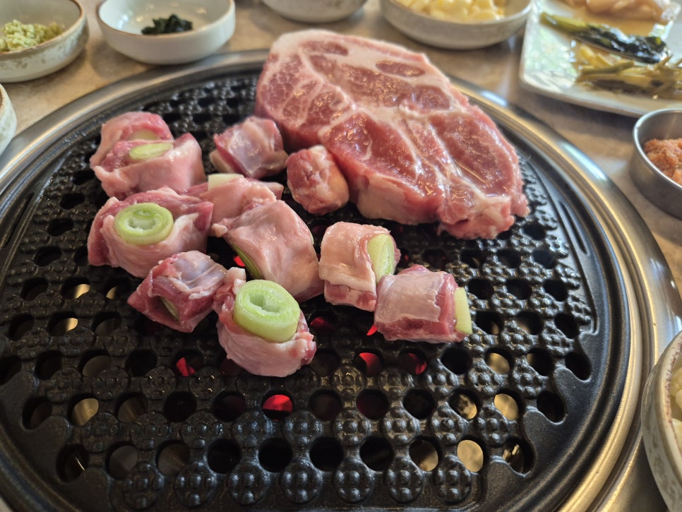 돼지나무사랑걸렸네 이미지