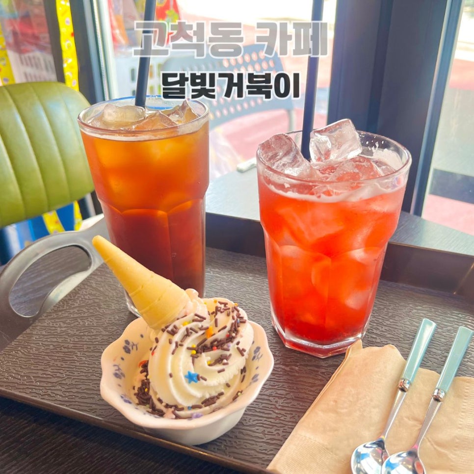 달빛 거북이 이미지