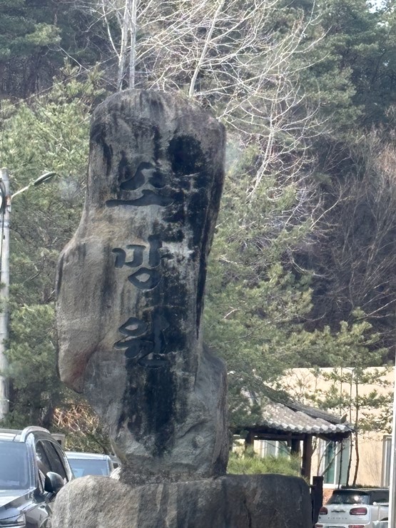 라파엘메디케어 이미지