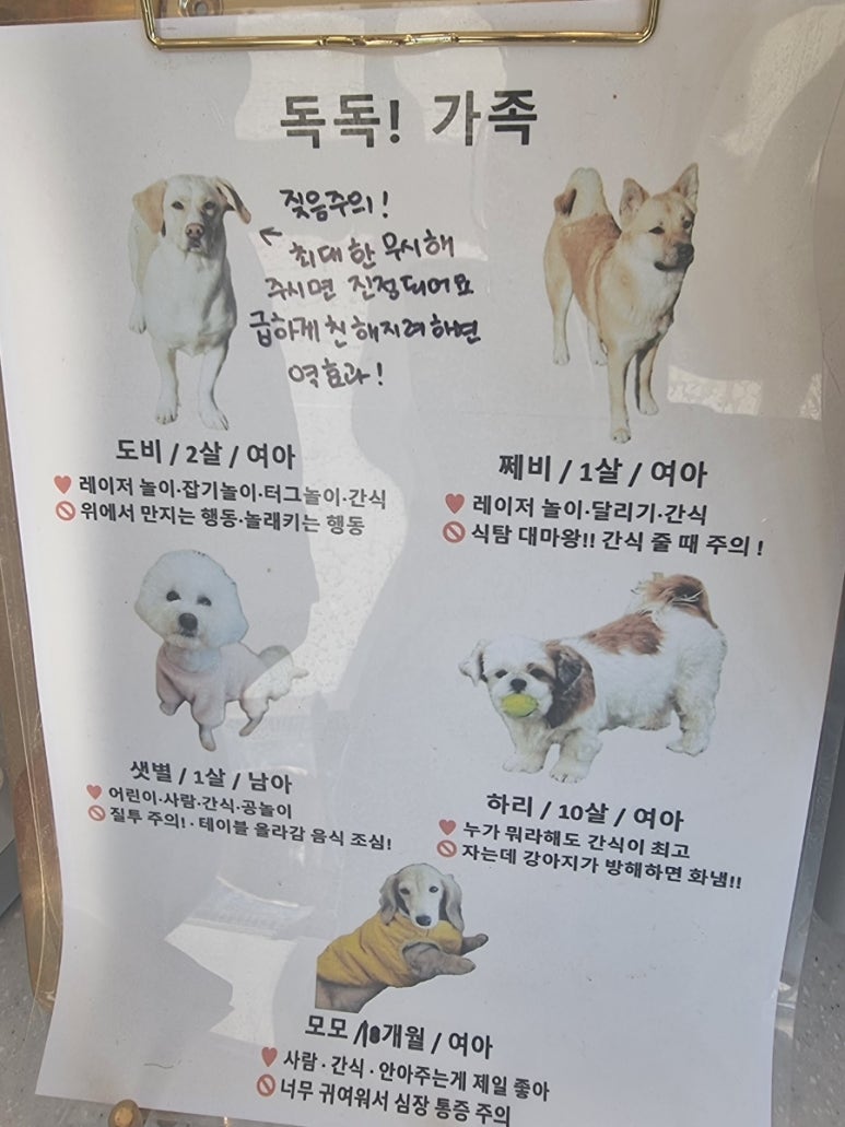 독독!개세요? 이미지