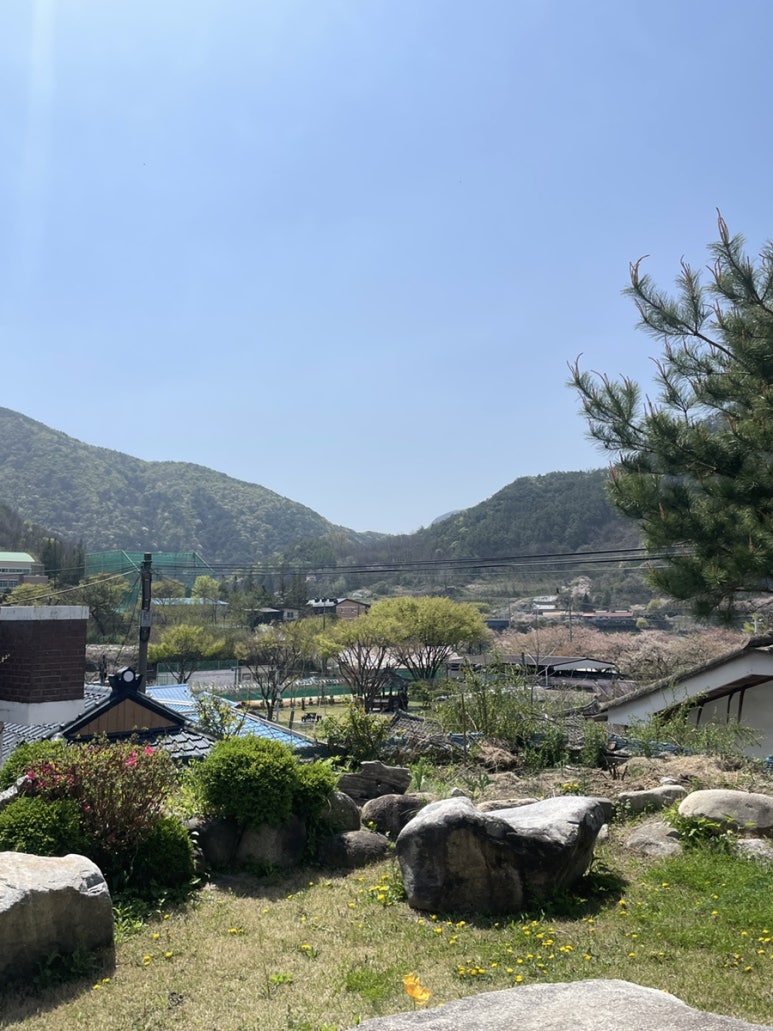 영은식당 이미지