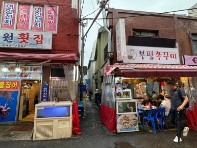 츠카네 이미지