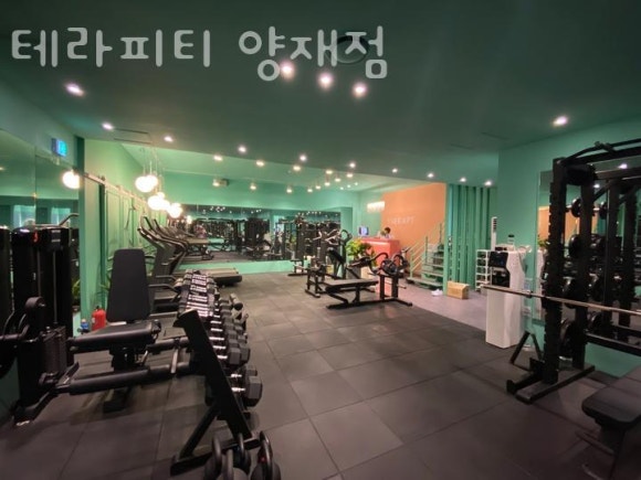 테라피티 이미지