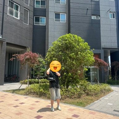 도로시벨 이미지