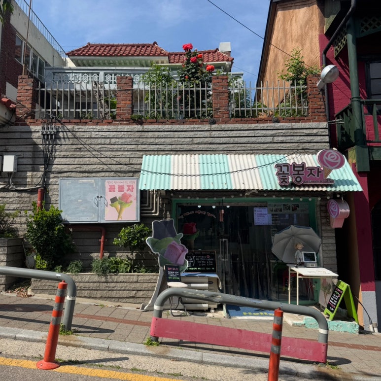 꽃봉자 이미지