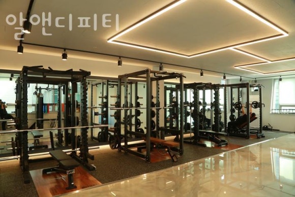 알앤디피티 이미지