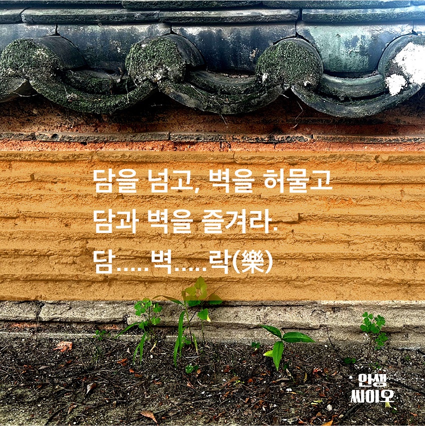 담 이미지