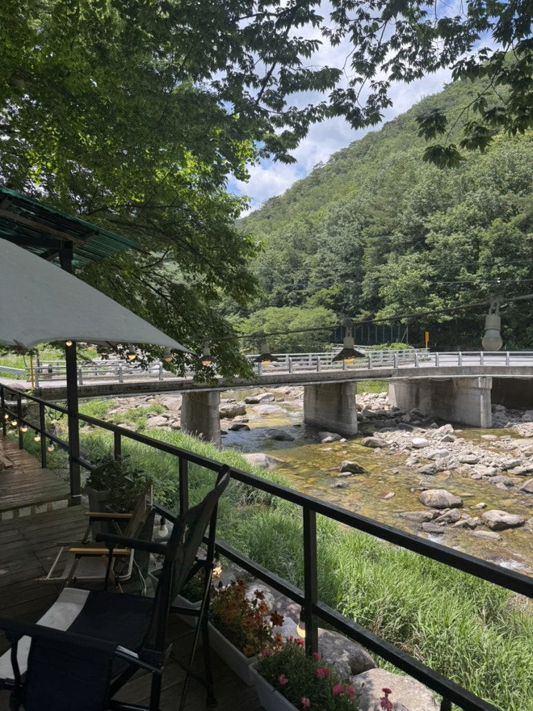 단양연화 이미지