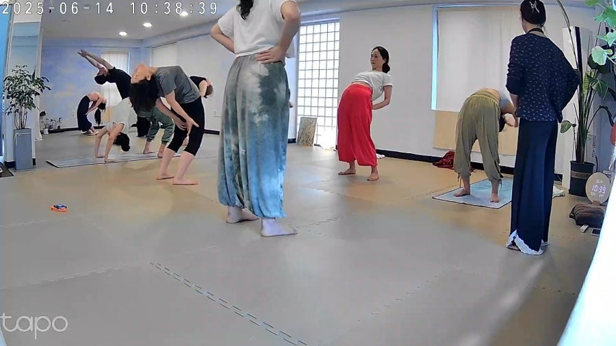 토요요 이미지