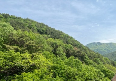 백마산칼국수 이미지