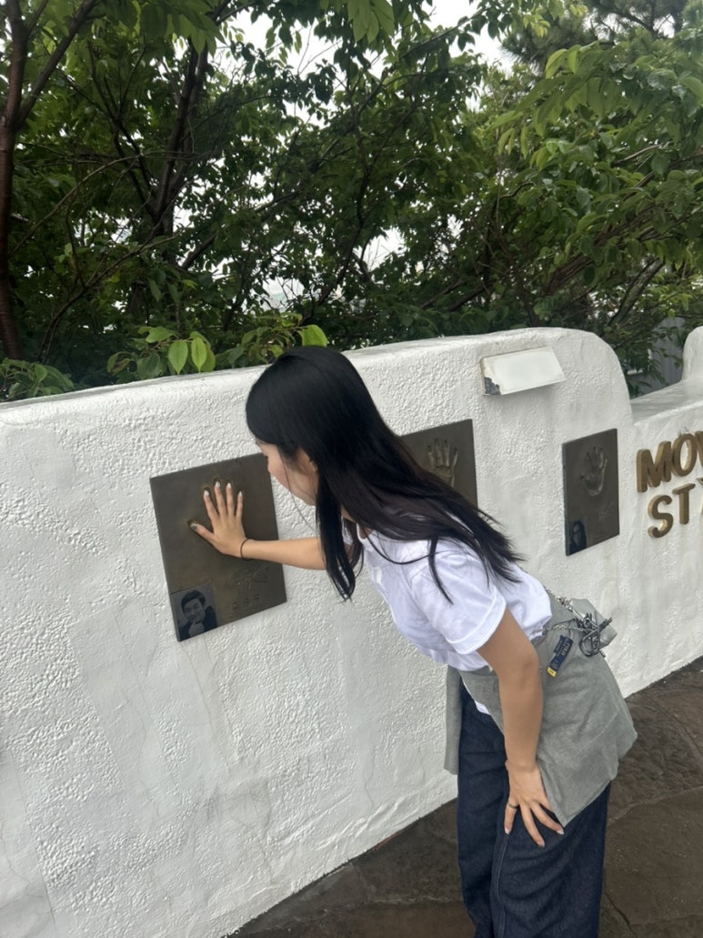 마리느 이미지