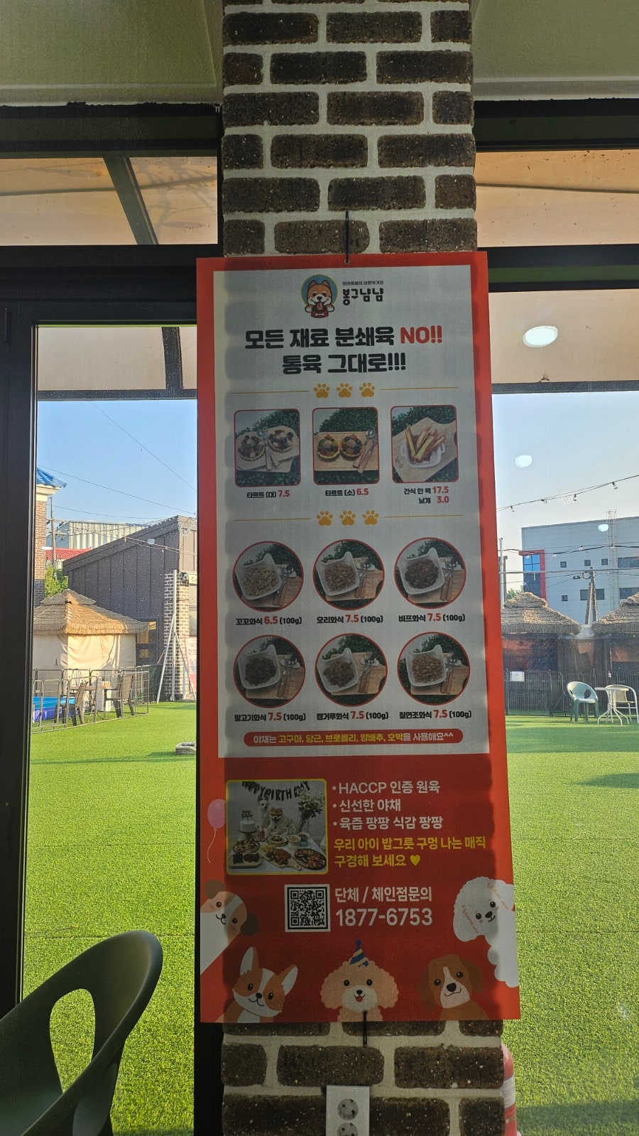용인 뛰뛰댕댕 애견카페, 강아지 신나게 뛰어놀아요 — 사진 6