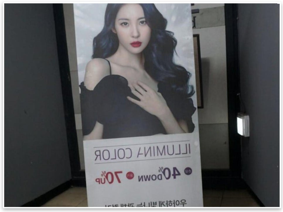 장띨 이미지
