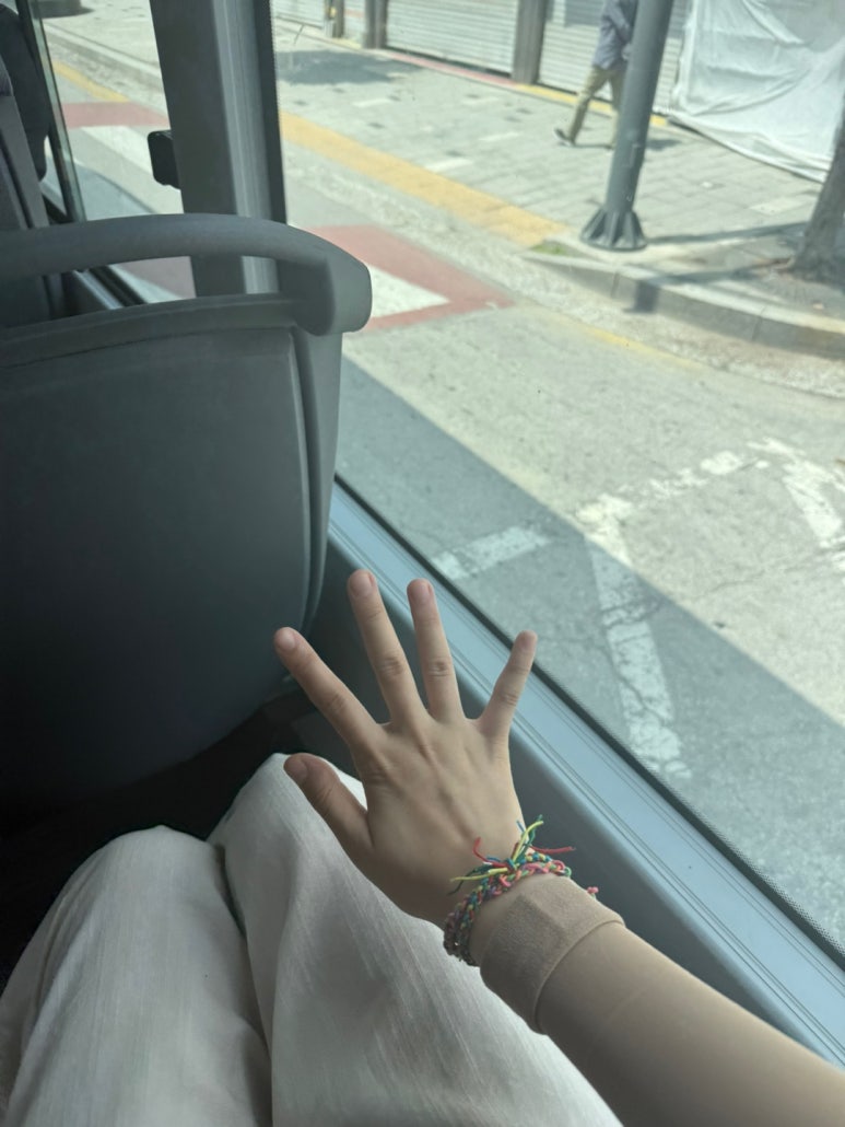 미스엘라 이미지