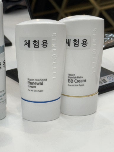 르네셀비앙 이미지