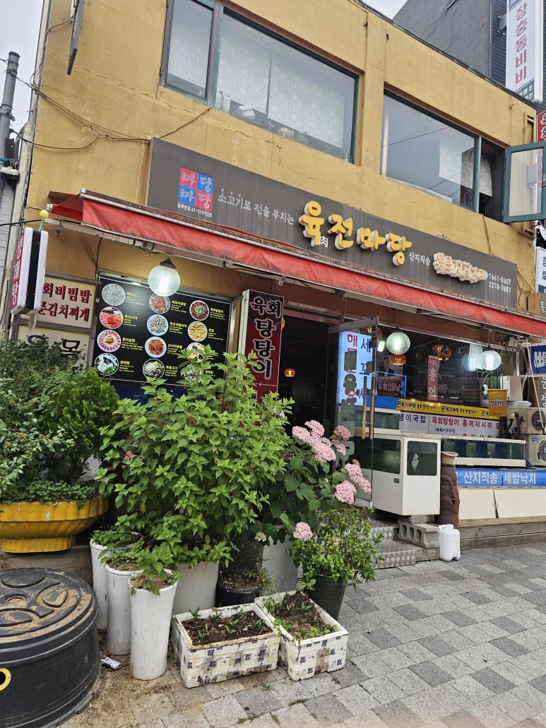 육전마당 동대본점 사진 5