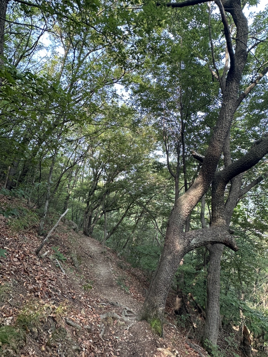 해성한식 이미지