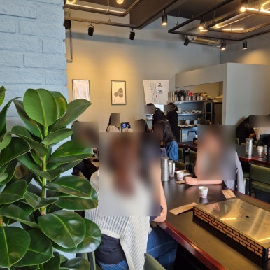 옥돈 이미지