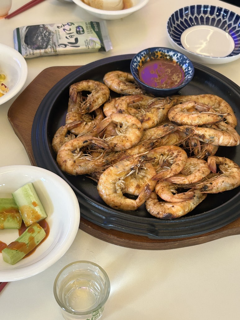 술찌 사진 6