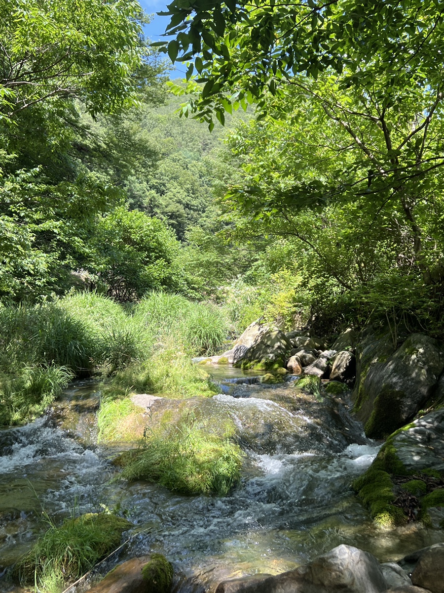 노동오토캠핑장 이미지
